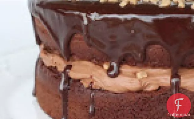 Chocolate Mousse Crunch Cake