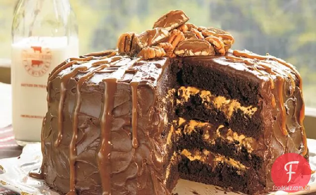 Bolo De Tartaruga De Chocolate