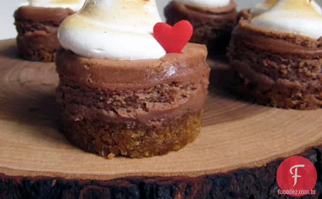 Mini S'mores Cheesecakes
