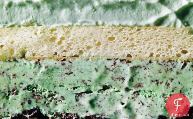 Mint Chip Ice Cream Cake
