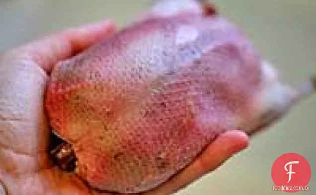 Pato Selvagem Assado (Cerceta)
