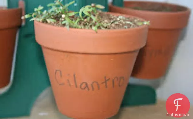 Costeletas De Peru Na Receita De Crockpot De Salsa De Manga