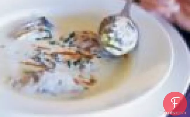 Oyster Stew