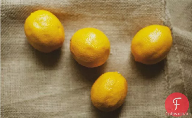 Meyer Lemon Coalhada