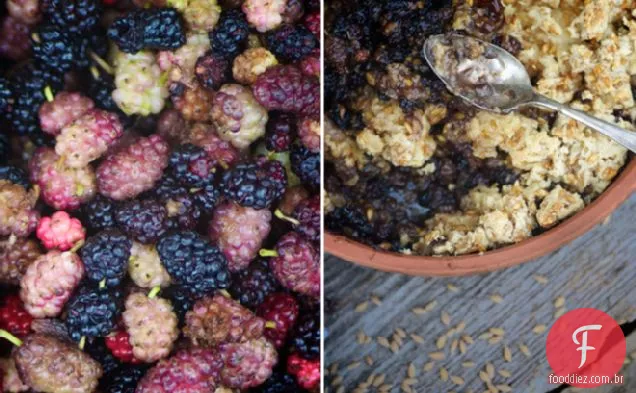 Aqui vamos nós ao redor do arbusto de Amoreira: Amoreira e amanteigado Einkorn Crumble