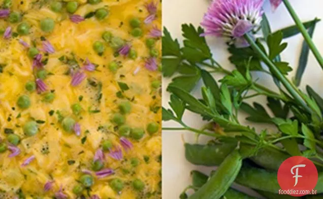 Receita Perfeita De Omelete