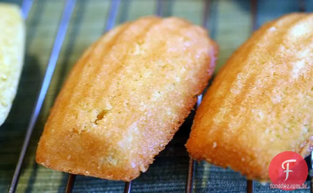 Madeleines Clássicas