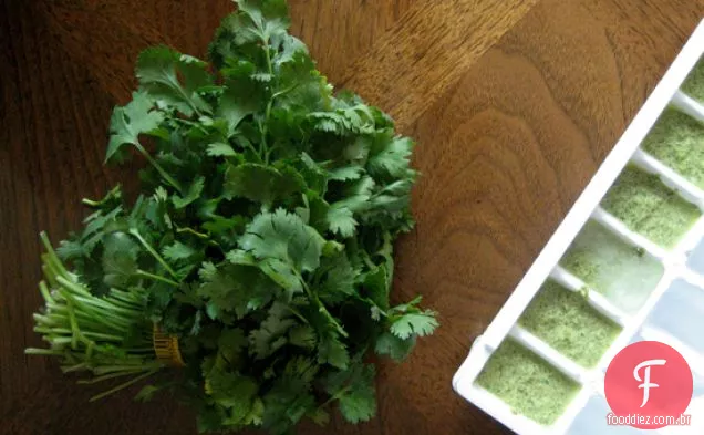 Coentro Pesto