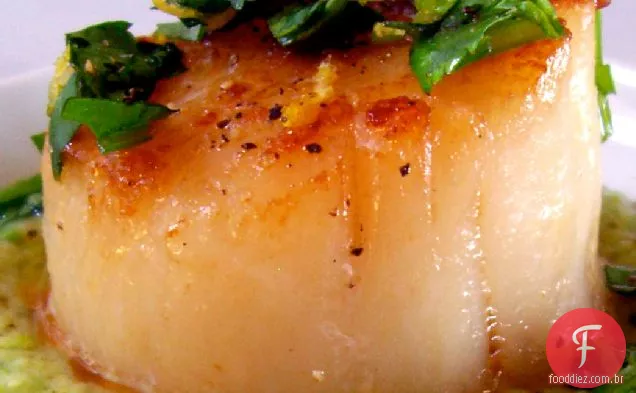 Vieiras Marinhas Com Purê De Ervilha E Coentro Gremolata