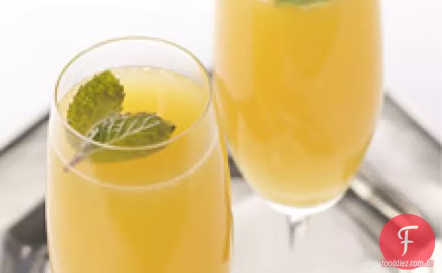 Menning Mimosa