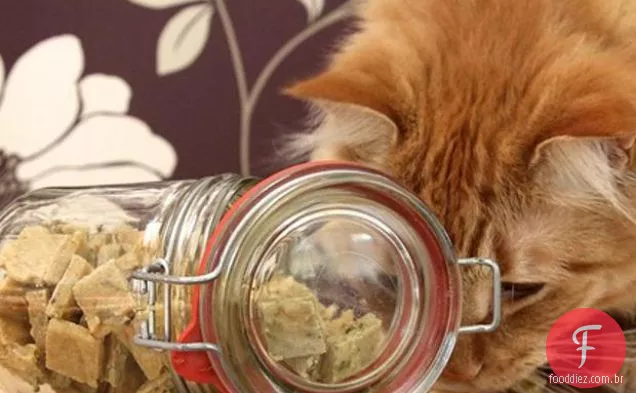 Chewy Cat Treats Para Gatos