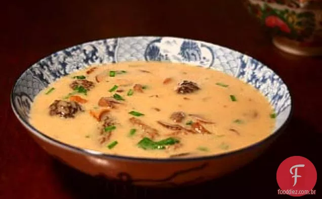 Creme de sopa de cogumelos selvagens