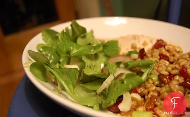Rúcula, Erva-Doce E Salada Parmigiano Reggiano