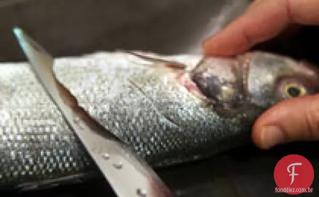 Branzino Grelhado Com Vinagrete De Alecrim