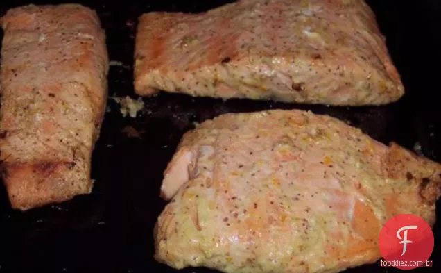 Salmão Envidraçado