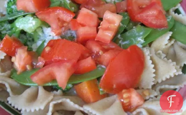 Leite Livre Salmão Vegetal Fettuccine