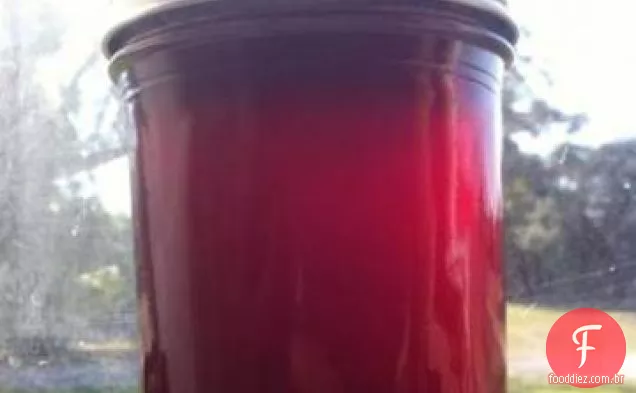 Atum (Fruta Do Cacto Da Pera Espinhosa ) Geléia