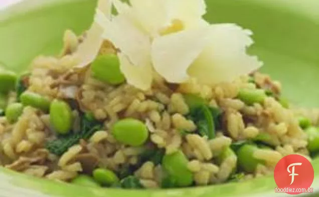 Risoto Com Edamame , Rúcula E Porcini