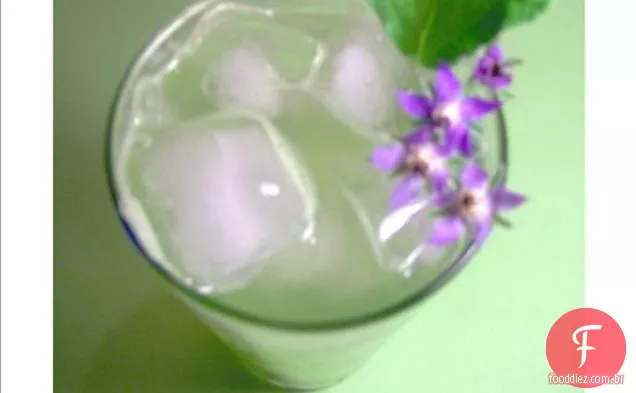 Geléia De Pepino De Borragem Com Gengibre