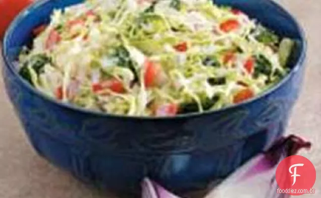 Slaw Vegetal