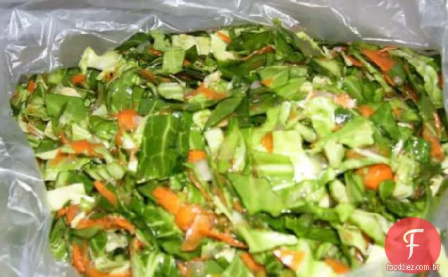 Freezer Salada De Repolho