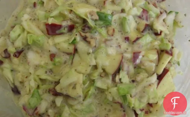 Crunchy Outono Maçã Slaw