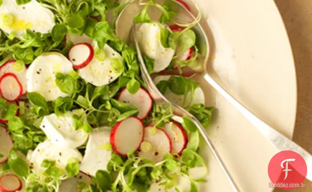 Salada de primavera com mussarela fresca