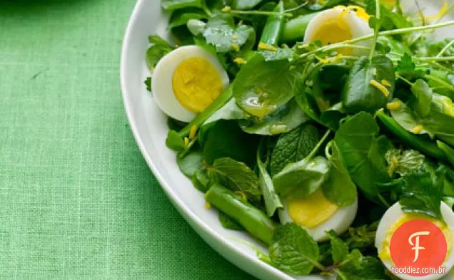 Herb Garden Salad