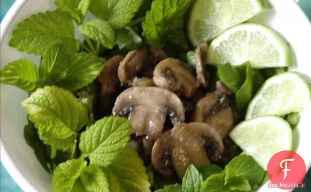 Salada De Cogumelos