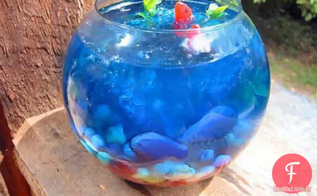 Peixe Tigela Gelatina!