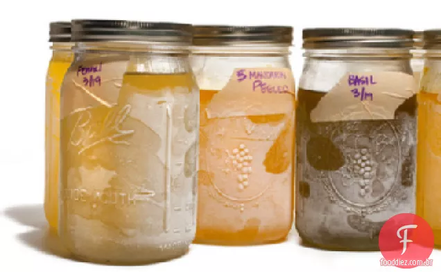 Receita De Funcho Digestif