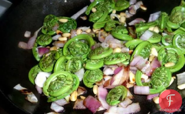 Fiddlehead Samambaias