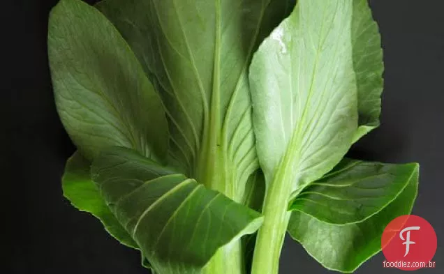 Tofu frito e bok Choy com molho de caju