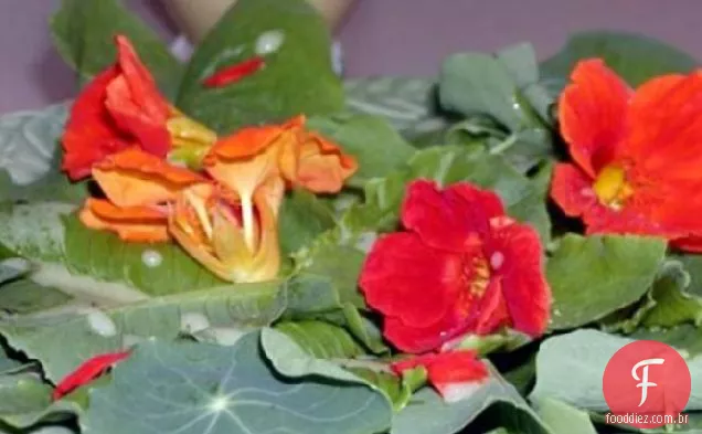Salada De Flores De Verão
