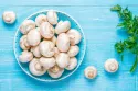 Nossas 7 melhores receitas de cogumelos
